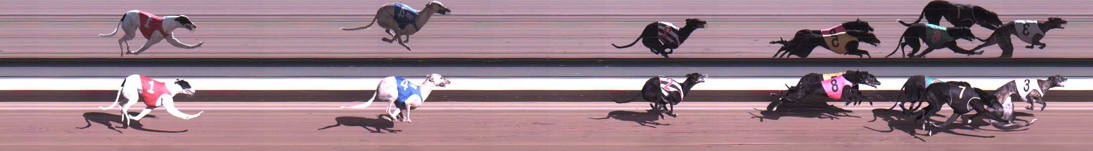 Photo finish for Warragul Race 3