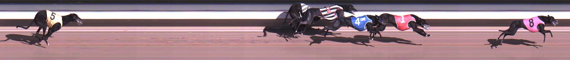 Photo finish for Warragul Race 4