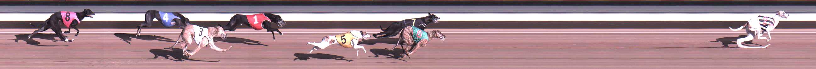 Photo finish for Warragul Race 5