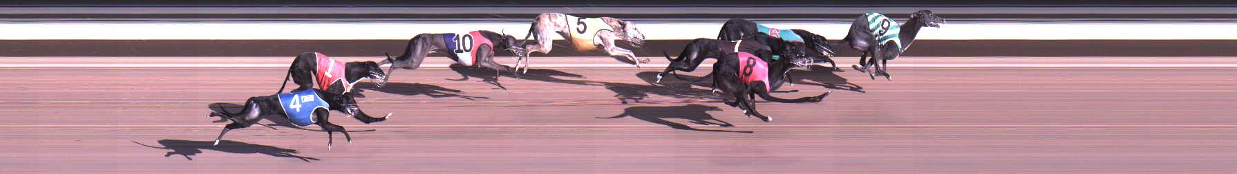 Photo finish for Warragul Race 6