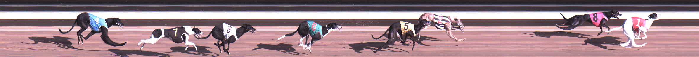 Photo finish for Warragul Race 7