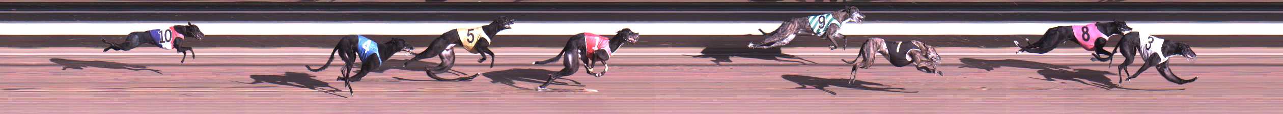 Photo finish for Warragul Race 8