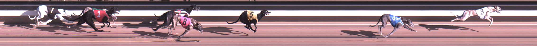 Photo finish for Warragul Race 9