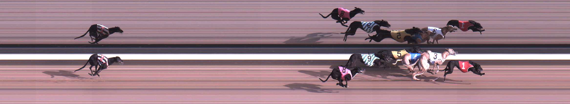 Photo finish for Warragul Race 10