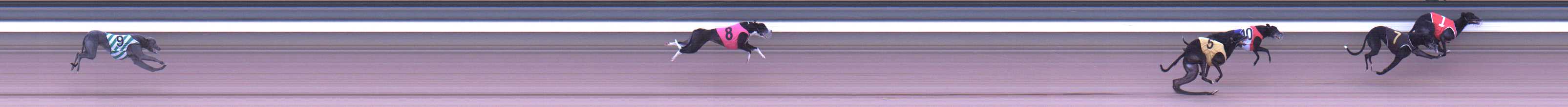 Photo finish for Warragul Race 11