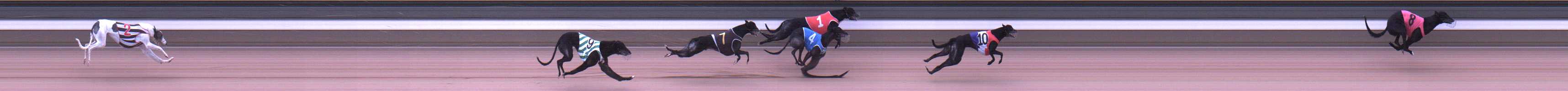 Photo finish for Warragul Race 12