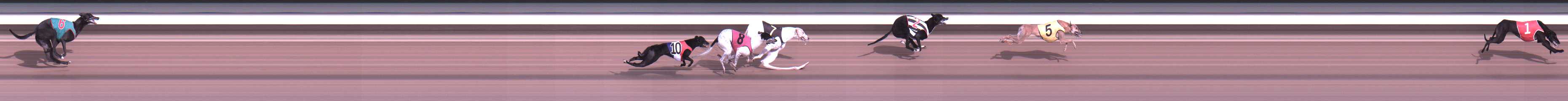 Photo finish for Warragul Race 1