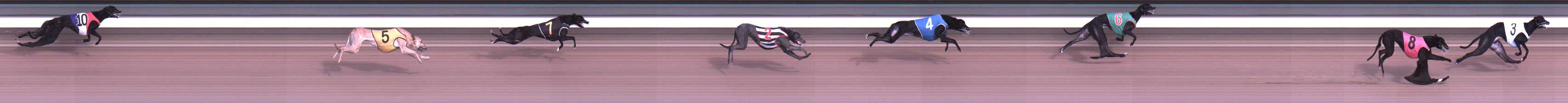 Photo finish for Warragul Race 2