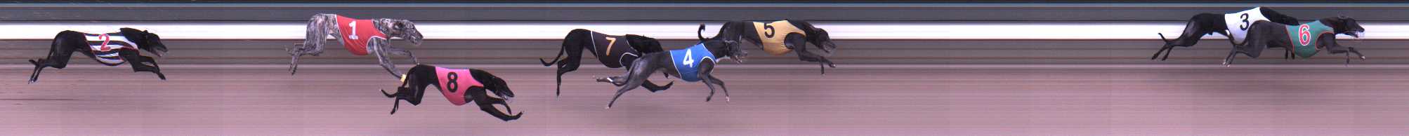 Photo finish for Warragul Race 3
