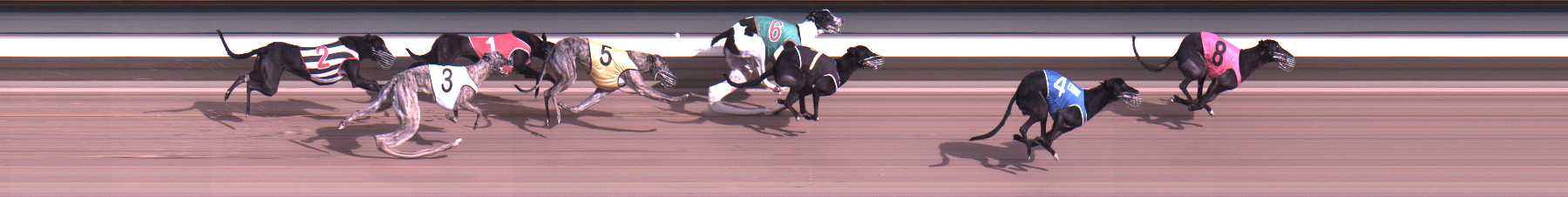 Photo finish for Warragul Race 4