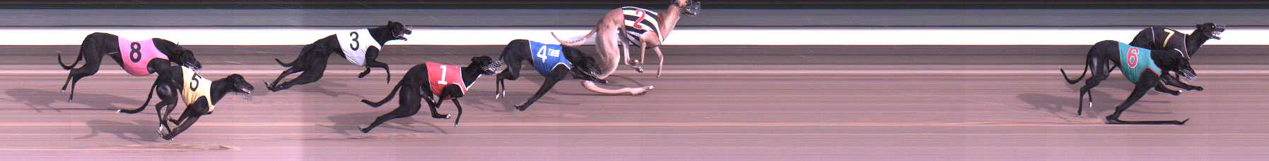 Photo finish for Warragul Race 5