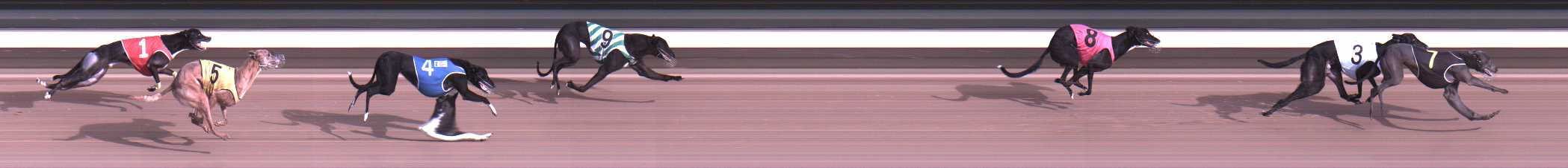 Photo finish for Warragul Race 6