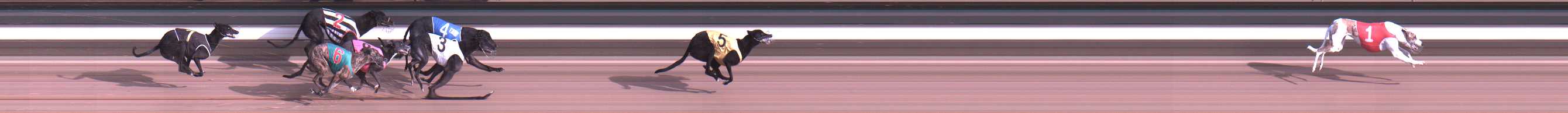 Photo finish for Warragul Race 7