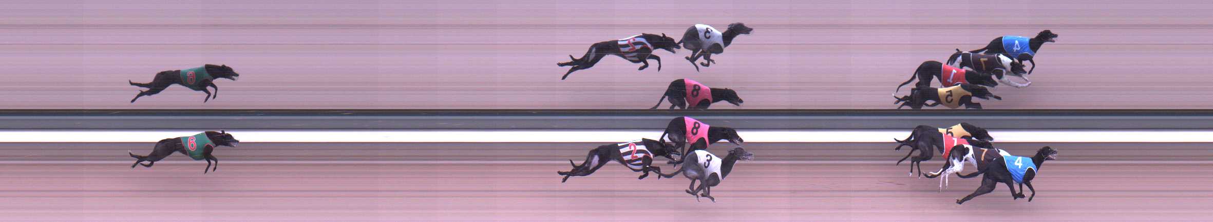 Photo finish for Warragul Race 8