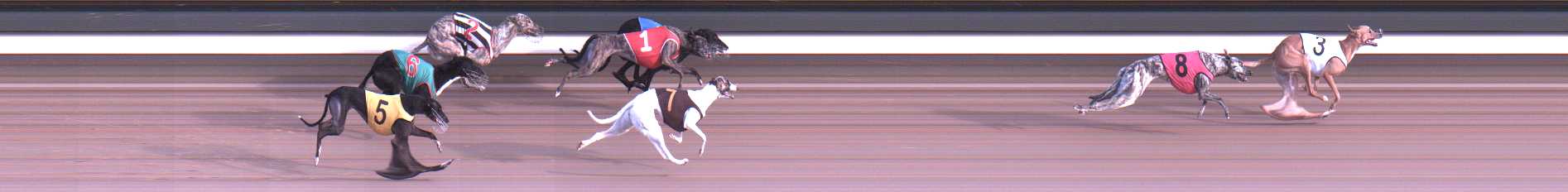 Photo finish for Warragul Race 10