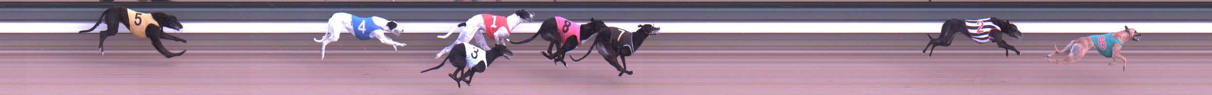 Photo finish for Warragul Race 11