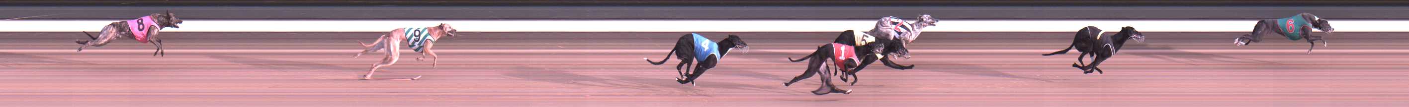 Photo finish for Warragul Race 12