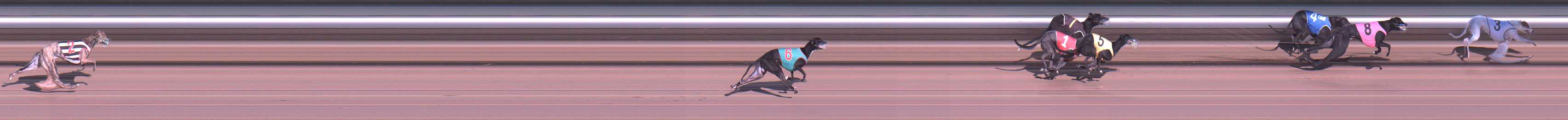 Photo finish for Warragul Race 1