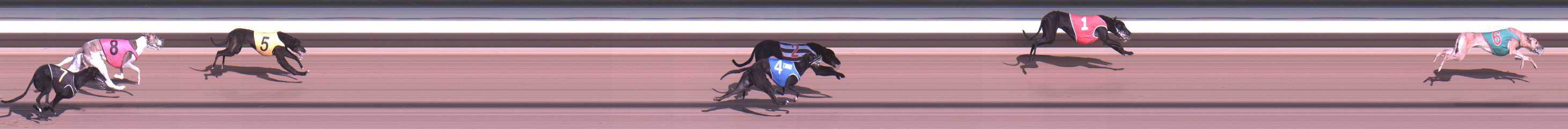 Photo finish for Warragul Race 2