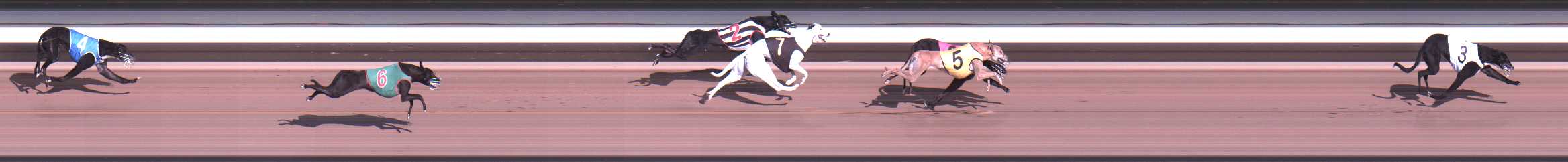 Photo finish for Warragul Race 3