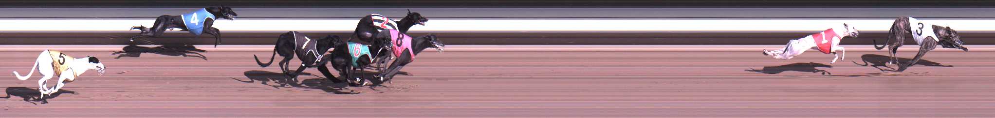 Photo finish for Warragul Race 4