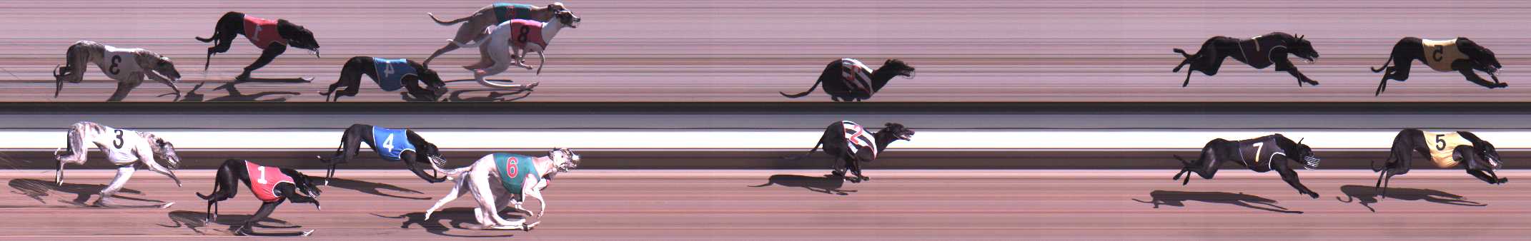 Photo finish for Warragul Race 5