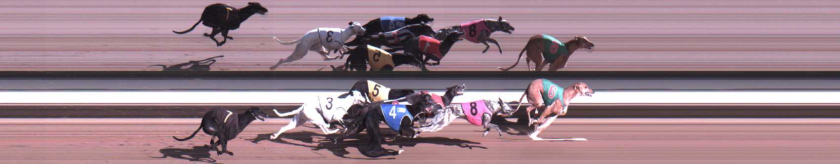 Photo finish for Warragul Race 6