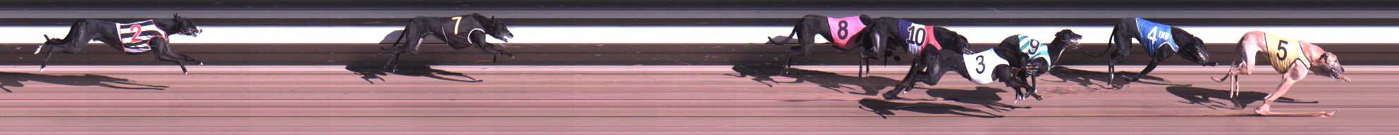Photo finish for Warragul Race 7