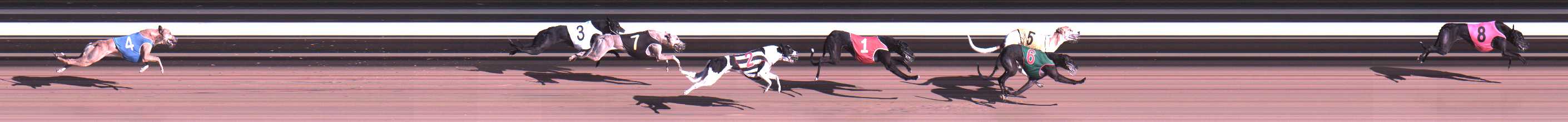 Photo finish for Warragul Race 8