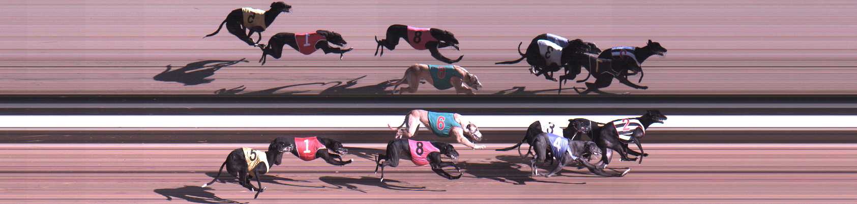 Photo finish for Warragul Race 9
