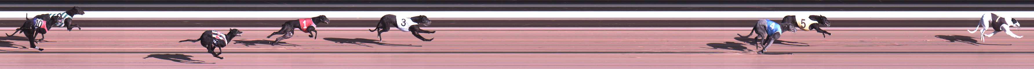 Photo finish for Warragul Race 10