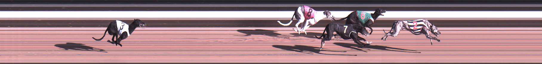 Photo finish for Warragul Race 11