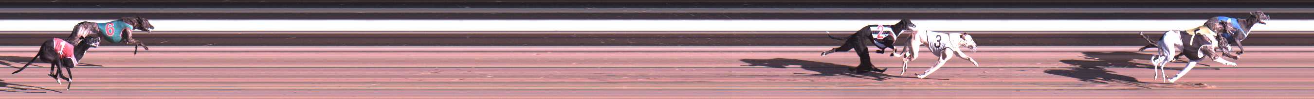 Photo finish for Warragul Race 12