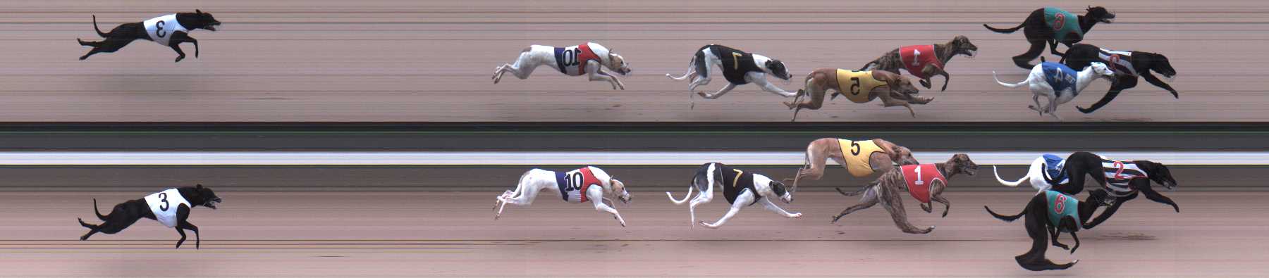 Photo finish for Warragul Race 1