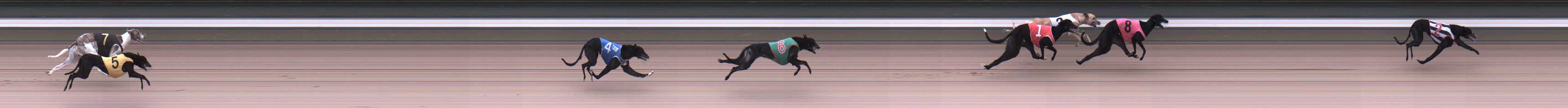 Photo finish for Warragul Race 2