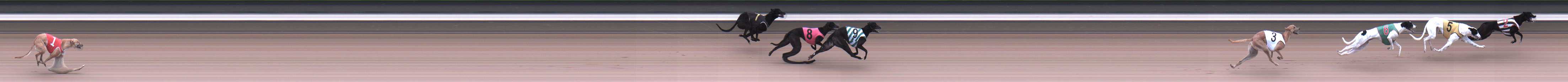 Photo finish for Warragul Race 3
