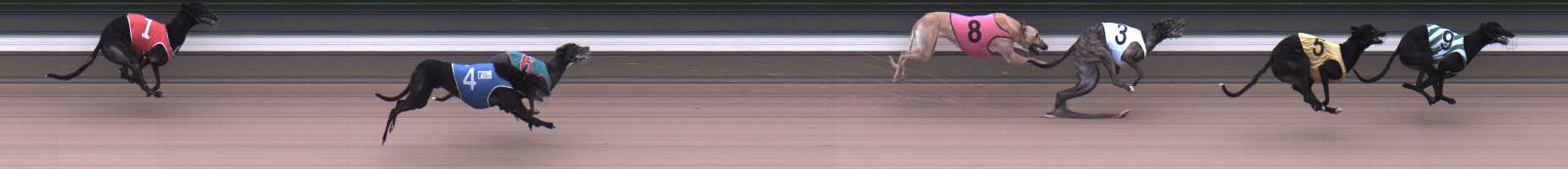 Photo finish for Warragul Race 4