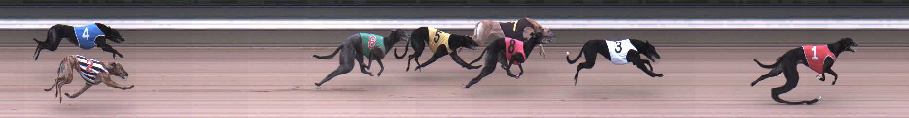 Photo finish for Warragul Race 5