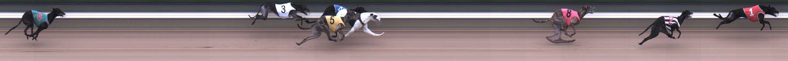 Photo finish for Warragul Race 6