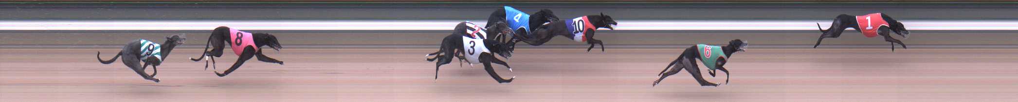 Photo finish for Warragul Race 7