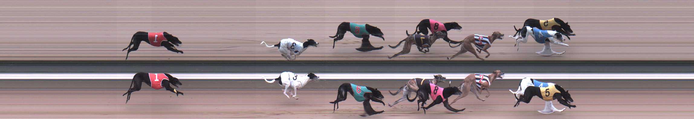 Photo finish for Warragul Race 8