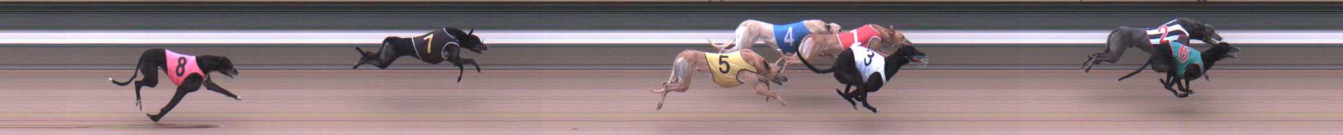 Photo finish for Warragul Race 9