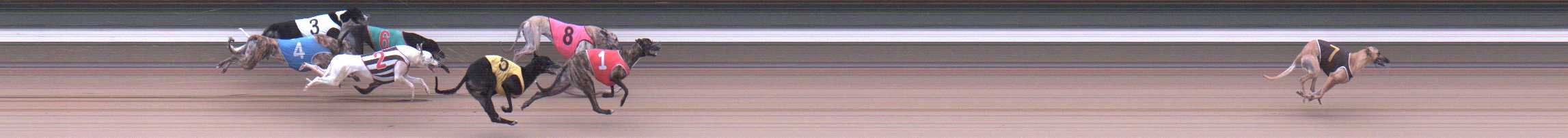 Photo finish for Warragul Race 10