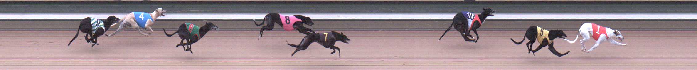 Photo finish for Warragul Race 11