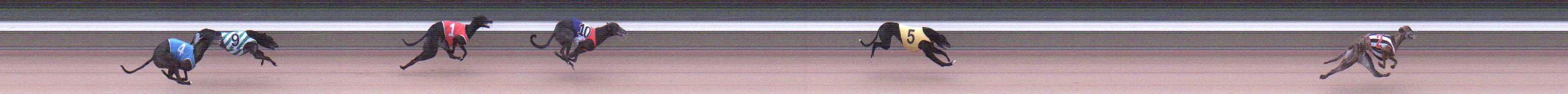 Photo finish for Warragul Race 12