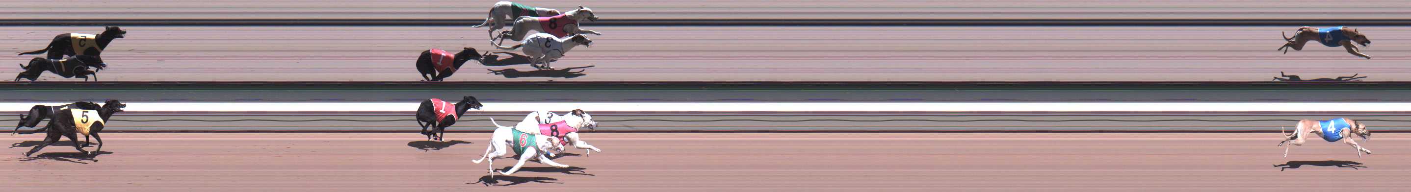 Photo finish for Warragul Race 1