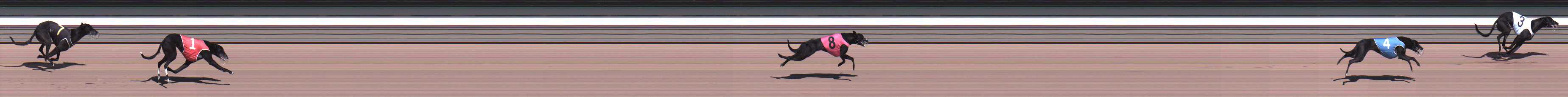 Photo finish for Warragul Race 2