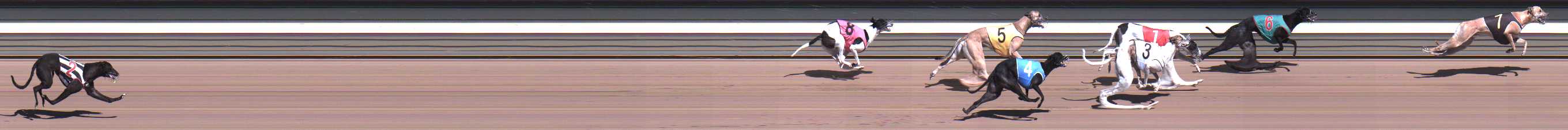 Photo finish for Warragul Race 3