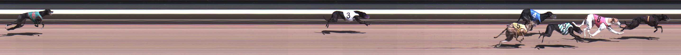 Photo finish for Warragul Race 5