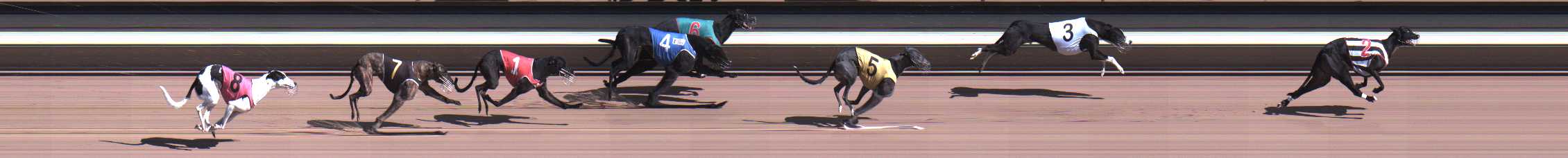 Photo finish for Warragul Race 7